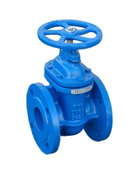 Flanged gate valve with metal wedge - Brass seat