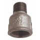 Reducing socket - F/M - Galvanized Cast Iron