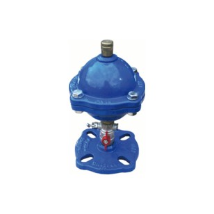 Single function air valve for clear water