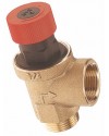 Non adjustable brass safety relief valve - male / Female - Without pressure gauge connection